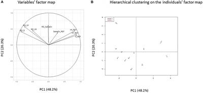 Effects of Compression Garments on Balance Control in Young Healthy Active Subjects: A Hierarchical Cluster Analysis